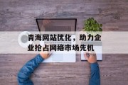 青海网站优化,助力企业抢占网络市场先机 青海网站优化,助力企业抢占网络市场先机