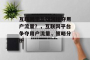 互联网平台如何抢夺用户流量?,互联网平台争夺用户流量,策略分析 互联网平台如何抢夺用户流量?,互联网平台争夺用户流量,策略分析