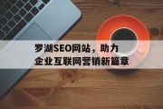 罗湖SEO网站,助力企业互联网营销新篇章 罗湖SEO网站,助力企业互联网营销新篇章