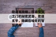 隐通关攻略,打造智慧之门的秘密武器,密道玄学,隐藏在暗处的智慧武器 隐通关攻略,打造智慧之门的秘密武器,密道玄学,隐藏在暗处的智慧武器