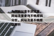 为何网站查不到流量,网站流量查询不畅原因分析,网站流量不畅原因解析 为何网站查不到流量,网站流量查询不畅原因分析,网站流量不畅原因解析