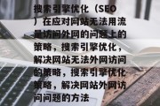 搜索引擎优化（SEO）在应对网站无法用流量访问外网的问题上的策略，搜索引擎优化，解决网站无法外网访问的策略，搜索引擎优化策略，解决网站外网访问问题的方法