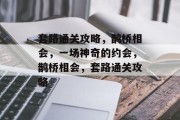 套路通关攻略,鹊桥相会,一场神奇的约会,鹊桥相会,套路通关攻略