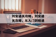 刘安通关攻略，刘安通关攻略，从入门到精通