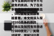 SEO搜索引擎竞争是当今互联网环境中不可避免的挑战。为了在众多的竞争者中脱颖而出,SEO策略变得越来越重要。本文将深入探讨SEO竞争的原因、影响以及如何有效地进行SEO优化。,关键词研究,理解SEO竞争并制定有效策略 SEO搜索引擎竞争是当今互联网环境中不可避免的挑战。为了在众多的竞争者中脱颖而出,SEO策略变得越来越重要。本文将深入探讨SEO竞争的原因、影响以及如何有效地进行SEO优化。,关键词研究,理解SEO竞争并制定有效策略