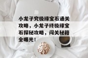 小龙子究极绿宝石通关攻略,小龙子终极绿宝石探秘攻略,闯关秘籍全曝光! 小龙子究极绿宝石通关攻略,小龙子终极绿宝石探秘攻略,闯关秘籍全曝光!