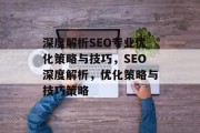 深度解析SEO专业优化策略与技巧,SEO深度解析,优化策略与技巧策略