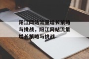 阳江网站流量增长策略与挑战,阳江网站流量增长策略与挑战 阳江网站流量增长策略与挑战,阳江网站流量增长策略与挑战