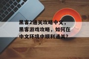 黑客2通关攻略中文,黑客游戏攻略,如何在中文环境中顺利通关?