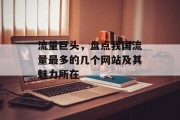 流量巨头,盘点我国流量最多的几个网站及其魅力所在 流量巨头,盘点我国流量最多的几个网站及其魅力所在