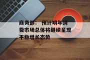商务部: 预计明年消费市场总体将继续呈现平稳增长态势 商务部: 预计明年消费市场总体将继续呈现平稳增长态势