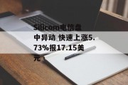 Silicom电信盘中异动 快速上涨5.73%报17.15美元 Silicom电信盘中异动 快速上涨5.73%报17.15美元