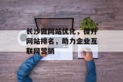 长沙做网站优化,提升网站排名,助力企业互联网营销 长沙做网站优化,提升网站排名,助力企业互联网营销