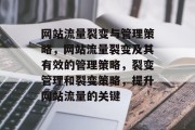 网站流量裂变与管理策略,网站流量裂变及其有效的管理策略,裂变管理和裂变策略,提升网站流量的关键 网站流量裂变与管理策略,网站流量裂变及其有效的管理策略,裂变管理和裂变策略,提升网站流量的关键