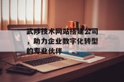 武陟技术网站搭建公司,助力企业数字化转型的专业伙伴 武陟技术网站搭建公司,助力企业数字化转型的专业伙伴