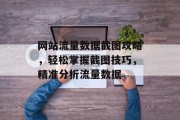 网站流量数据截图攻略，轻松掌握截图技巧，精准分析流量数据