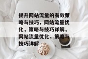 提升网站流量的有效策略与技巧,网站流量优化,策略与技巧详解,网站流量优化,策略与技巧详解 提升网站流量的有效策略与技巧,网站流量优化,策略与技巧详解,网站流量优化,策略与技巧详解