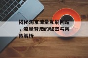揭秘淘宝流量互刷网站,流量背后的秘密与风险解析 揭秘淘宝流量互刷网站,流量背后的秘密与风险解析