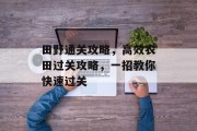 田野通关攻略，高效农田过关攻略，一招教你快速过关