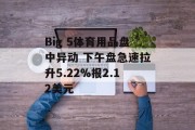 Big 5体育用品盘中异动 下午盘急速拉升5.22%报2.12美元