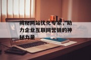 揭秘网站优化专家,助力企业互联网营销的神秘力量 揭秘网站优化专家,助力企业互联网营销的神秘力量