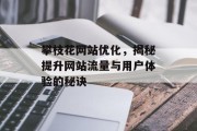 攀枝花网站优化,揭秘提升网站流量与用户体验的秘诀 攀枝花网站优化,揭秘提升网站流量与用户体验的秘诀