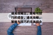 通关攻略三,策略与技巧的结合,通关攻略,策略与技巧的完美结合 通关攻略三,策略与技巧的结合,通关攻略,策略与技巧的完美结合