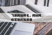 飞速网站排名,揭秘网络营销的加速器 飞速网站排名,揭秘网络营销的加速器