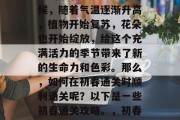 初春是个充满生机与希望的季节。每当这个时候,随着气温逐渐升高,植物开始复苏,花朵也开始绽放,给这个充满活力的季节带来了新的生命力和色彩。那么,如何在初春通关时顺利通关呢?以下是一些初春通关攻略。,初春通关指南,迎接春天,畅游关卡 初春是个充满生机与希望的季节。每当这个时候,随着气温逐渐升高,植物开始复苏,花朵也开始绽放,给这个充满活力的季节带来了新的生命力和色彩。那么,如何在初春通关时顺利通关呢?以下是一些初春通关攻略。,初春通关指南,迎接春天,畅游关卡