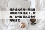 栖身通关攻略—寻找并成功避开关键关卡,攻略,如何在紧急关卡中突破迷宫 栖身通关攻略—寻找并成功避开关键关卡,攻略,如何在紧急关卡中突破迷宫