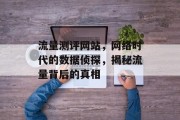流量测评网站,网络时代的数据侦探,揭秘流量背后的真相 流量测评网站,网络时代的数据侦探,揭秘流量背后的真相