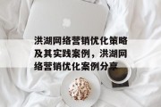 洪湖网络营销优化策略及其实践案例，洪湖网络营销优化案例分享