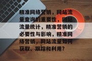 精准网络营销,网站流量查询的重要性,网站流量统计,精准营销的必要性与影响,精准网络营销,网站流量如何获取、跟踪和利用?