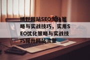 博野网站SEO优化策略与实战技巧,实用SEO优化策略与实战技巧提升网站流量 博野网站SEO优化策略与实战技巧,实用SEO优化策略与实战技巧提升网站流量