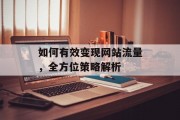 如何有效变现网站流量,全方位策略解析 如何有效变现网站流量,全方位策略解析