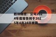 胜利精密:公司2024年度报告将于2025年4月24日披露 胜利精密:公司2024年度报告将于2025年4月24日披露