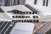7天网站运营直通车,快速精通SEO,提升网站排名的秘密武器 7天网站运营直通车,快速精通SEO,提升网站排名的秘密武器