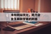 阜阳网站优化，助力企业互联网营销的利器