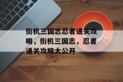 街机三国志忍者通关攻略,街机三国志,忍者通关攻略大公开