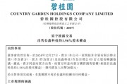 碧桂园藏了个“大金库” 碧桂园藏了个“大金库”