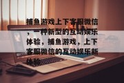 捕鱼游戏上下客服微信，一种新型的互动娱乐体验，捕鱼游戏，上下客服微信的互动娱乐新体验