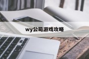 wy公司游戏攻略
