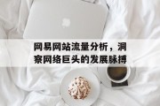 网易网站流量分析,洞察网络巨头的发展脉搏 网易网站流量分析,洞察网络巨头的发展脉搏