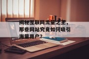 揭秘互联网流量之王,那些网站究竟如何吸引海量用户? 揭秘互联网流量之王,那些网站究竟如何吸引海量用户?