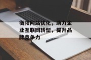 衡阳网站优化，助力企业互联网转型，提升品牌竞争力