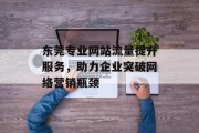 东莞专业网站流量提升服务,助力企业突破网络营销瓶颈 东莞专业网站流量提升服务,助力企业突破网络营销瓶颈