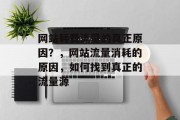 网站耗费流量的真正原因?,网站流量消耗的原因,如何找到真正的流量源 网站耗费流量的真正原因?,网站流量消耗的原因,如何找到真正的流量源