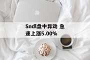 Sndl盘中异动 急速上涨5.00% Sndl盘中异动 急速上涨5.00%