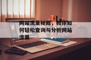 网站流量秘籍,教你如何轻松查询与分析网站流量 网站流量秘籍,教你如何轻松查询与分析网站流量