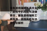 捕鱼游戏辅助工具大全，游戏中的风险与法律责任，捕鱼游戏辅助工具指南，游戏风险与法律责任解析